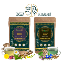 Cofix+ & Phix+ Day Night Duo For Acidity/Gas/Constipation Management