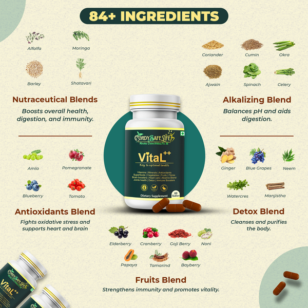Vital++ Multivitamin for Men & Women | 84-in-1 Advanced Daily Nutrition | Vitamins + Minerals + Adaptogens + Antioxidants + Prebiotics | Immunity, Energy, Gut Health & Stress Support | 60 Tablets - Cordysafelife