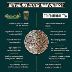 PhiX+ Herbal Tea for Acidity & GERD Relief | Caffeine-Free | 13 Herb Blend with Licorice, Spearmint, Shatavari, Bluepea & Oyster Mushrooms | Gut Cooling & Digestive Support | 50 gms | 25 Servings - Cordysafelife