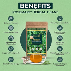 Rosemary+ Herbal Tea | Rosemary | Oyster Mushroom| Cognitive Support, Hair Fall Control | Caffeine-Free Herbal Tea | Vegan | 50 gms | 25 Servings - Cordysafelife