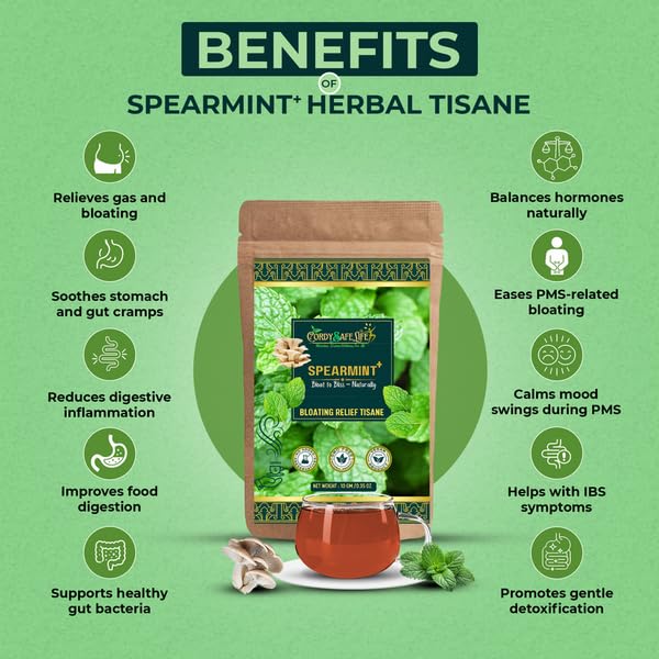 Spearmint+ Herbal Tea | Spearmint Leaves + Oyster Mushrooms | Hormone Balance, PCOS Support, Stress Relief, Digestion & Focus | Caffeine-Free Wellness Tea | VEGAN | 50 GMS | 25 SERVINGS - Cordysafelife