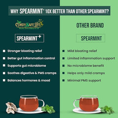 Spearmint+ Herbal Tea | Spearmint Leaves + Oyster Mushrooms | Hormone Balance, PCOS Support, Stress Relief, Digestion & Focus | Caffeine-Free Wellness Tea | VEGAN | 50 GMS | 25 SERVINGS - Cordysafelife