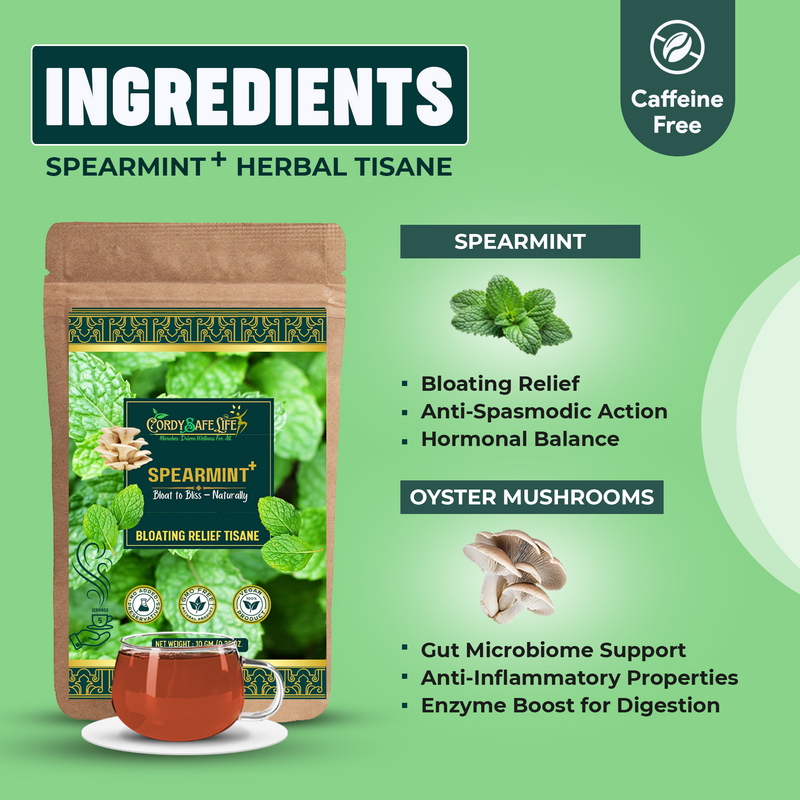 Spearmint+ Herbal Tea | Spearmint Leaves + Oyster Mushrooms | Hormone Balance, PCOS Support, Stress Relief, Digestion & Focus | Caffeine-Free Wellness Tea | VEGAN | 50 GMS | 25 SERVINGS - Cordysafelife