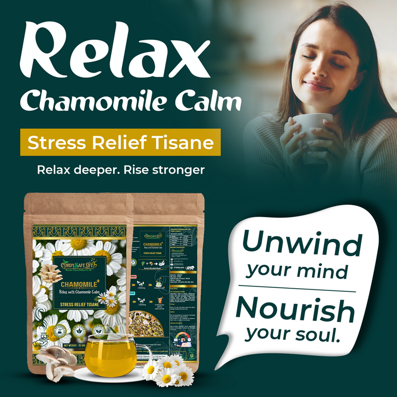 Chamomile flowers in bloom for herbal tea